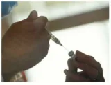 The needle as the sword & the shield
