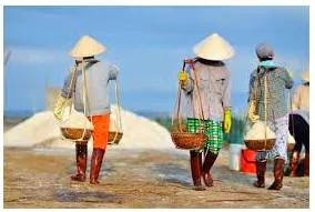 Travails  - Painful or laborious effort.