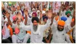 Pious and sanctimonious  on government’s response to criticism