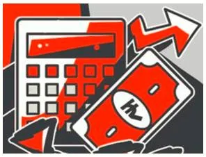 Making the budget work in practice