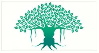 Transform into an outstanding achiever
