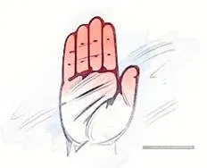 Congress losing the respect of allies  it needs to elect a full time president soon
