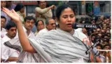 Snakes and ladders  on competitive west bengal assembly polls 