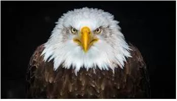 Formidable  - Inspiring fear or respect through being impressively large, powerful, intense, or capable.