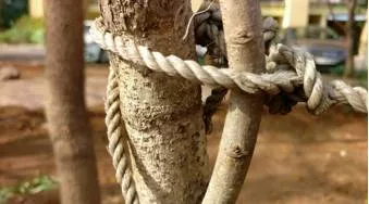 Cement  - To make a relationship, an agreement, etc. stronger.