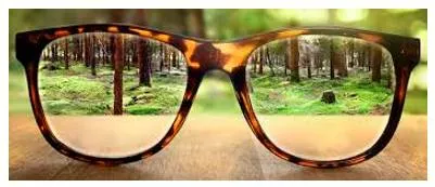 Starkly  - In a way that is easy to see because it is very different.