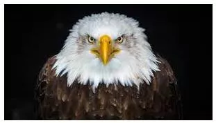 Formidable  - Inspiring fear or respect through being impressively large, powerful, intense, or capable.