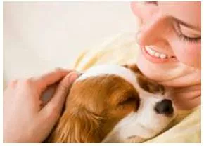 Endearingly  - In a manner that inspires affection.