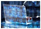 Cyber armour  when data breaches are suspected  potential victims need to be informed right away
