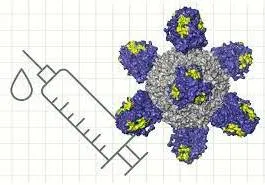 Managing an upheaval  on universal vaccination