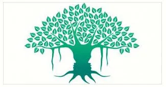 Healthy mind  healthy body