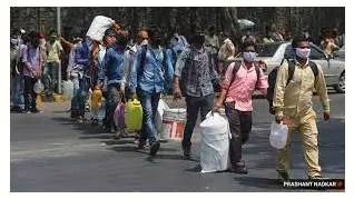 Viral load  on lockdowns  lives and livelihoods