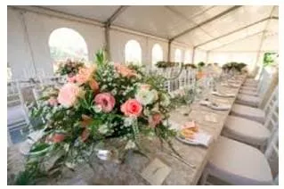 Embellish  - To make something more beautiful by adding decoration to it.