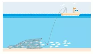 Trawl  - Search thoroughly.