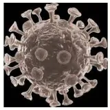Rescue plan  leverage global cooperation on vaccines  strengthen local disease surveillance