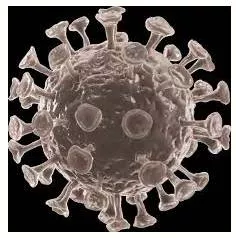 Rescue plan  leverage global cooperation on vaccines  strengthen local disease surveillance