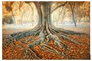Ingrained  - (of a habit, an attitude, etc.) that has existed for a long time and is therefore difficult to change.