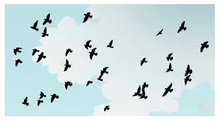 Birds of a feather flock together - People who have similar characters or similar interests will often choose to spend time together.