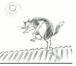 To be like a cat on a hot tin roof - To be nervous and unable to keep still.