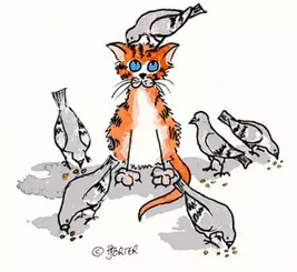To put a cat among the pigeons - To cause trouble.