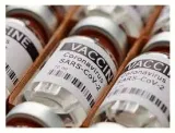 Eye of the bird  to ensure 267 crore vaccine doses come through by december  make advance payments