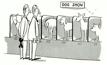 Gone to the dogs - Used when someone or somewhere becomes less successful than it was.
