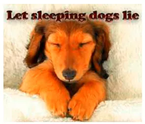 Let sleeping dogs lie - Leave something alone if it might cause trouble.