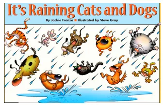 It's raining cats and dogs! - It's raining very heavily.
