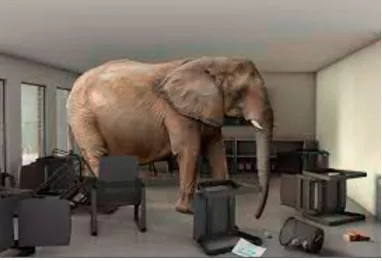 The elephant in the room - A problem or situation that everyone knows about but no one mentions.