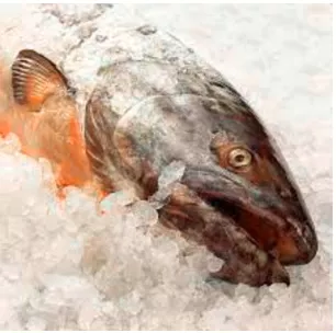 A cold fish - Someone who doesn't show how they feel.