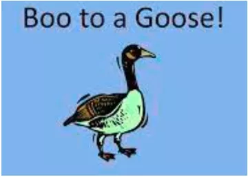 Wouldn't say boo to a goose - Describes someone who is very nervous.