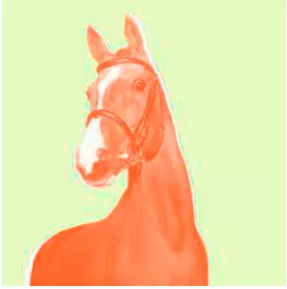 To say you could eat a horse - To be very hungry.