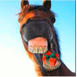 To look a gift horse in the mouth - To mistrust or complain about something you are offered or given for free.