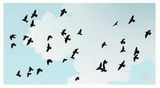Birds of a feather flock together