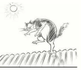 To be like a cat on a hot tin roof