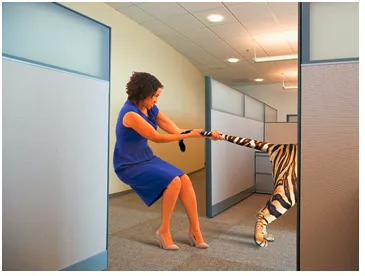 To have a tiger by the tail - To have become associated with something powerful and potentially dangerous.