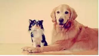 Juxtapose  - To put people or things together, especially in order to show a contrast or a new relationship between them.