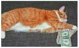 Wherewithal  - The money or other means needed for a particular purpose.