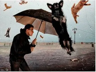 It's raining cats and dogs 