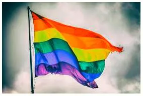 Stop trying to convert lgbtqia persons  madras high court rainbows this pride month 