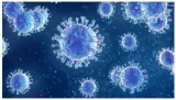 Origin unclear  on the source of the coronavirus 