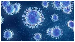 Origin unclear  on the source of the coronavirus 
