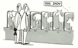 Gone to the dogs