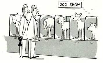 Gone to the dogs
