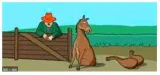 Talk the hind leg off a donkey