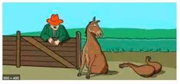 Talk the hind leg off a donkey