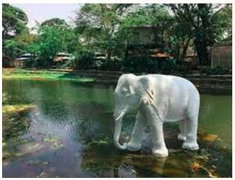 A white elephant