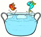A different kettle of fish