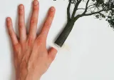 Cut something off