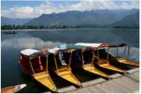 The kashmir outreach and the afghan storm